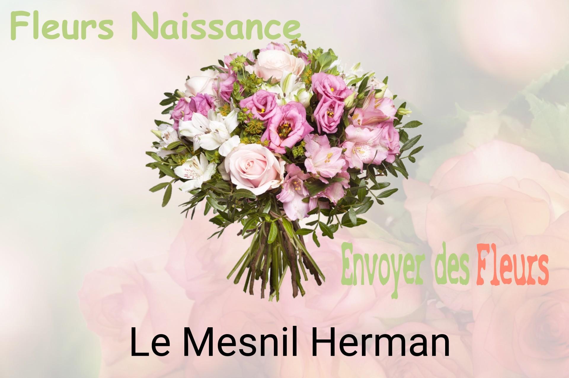 Bouquet de fleurs de naissance livré à Le Mesnil-Herman